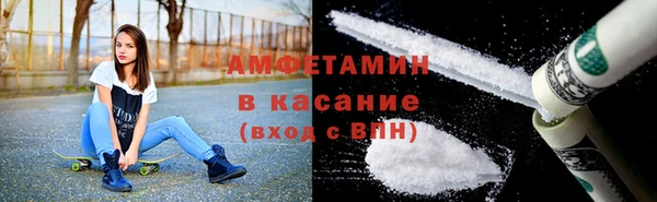 дживик Бородино