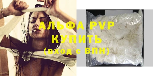 дживик Бородино