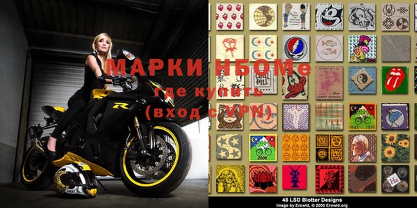 дживик Бородино
