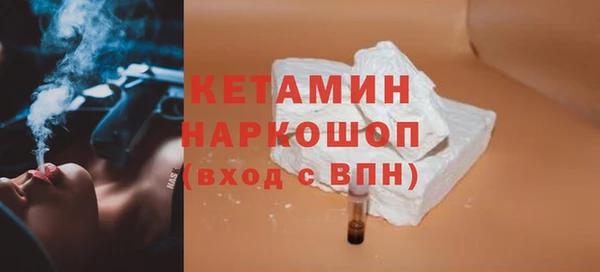 дживик Бородино