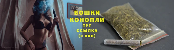 прущие крисы Мегион