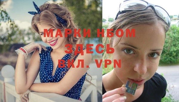 сатива Медногорск