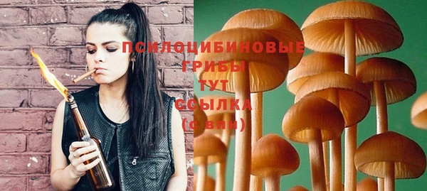 сатива Медногорск