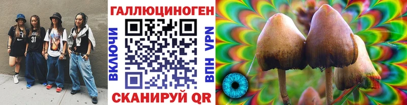 Псилоцибиновые грибы Psilocybe  наркотики  Верхоянск 