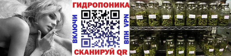 Бошки Шишки тримм  KRAKEN ССЫЛКА  Верхоянск 